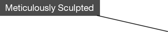 Meticulously Sculpted